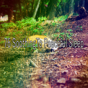 和平婴儿庇护所