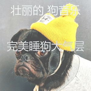 温和训练你的狗梦想