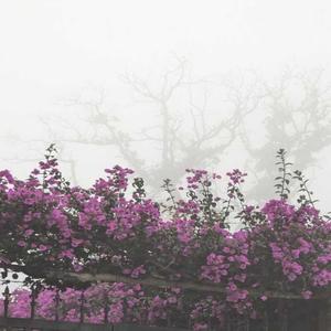 Eres (Acoustic Version)