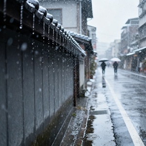 冬季到台北来看雨