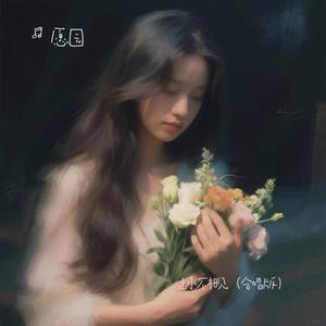 山水不相见 (合唱版)