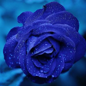 回家过春节 伴奏