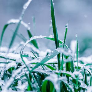 White Noise for Restful and Deep Sleep