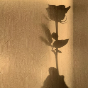 一千个伤心的理由（吉他指弹版）