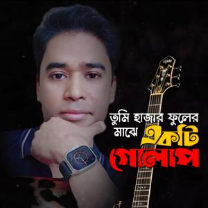 Tumi hajar puler||তুমি হাজার ফুলের মাঝে একটি গোলাপ||