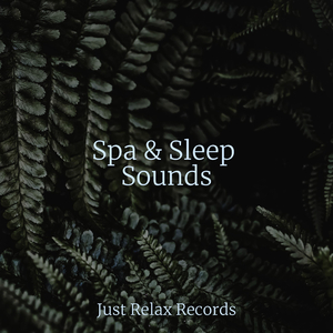 Vitality's Dance Anthem