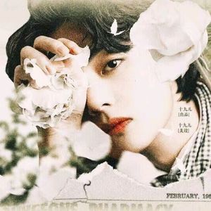 抽象家（橙光游戏《拿捏了小韭菜》金泰亨世界主题曲）