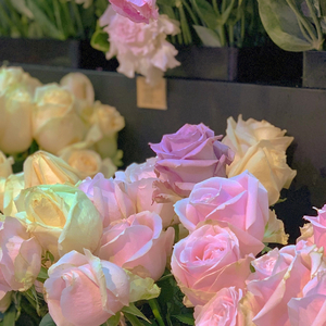 直到你降临（翻自：阿肆）