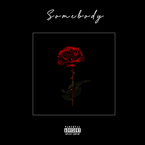 Somebody