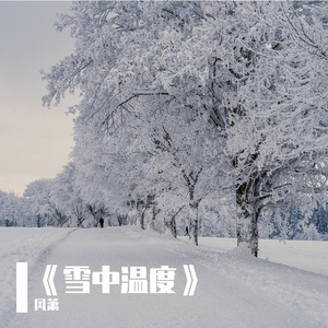 《雪中温度》