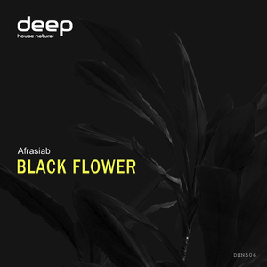 Black Flower