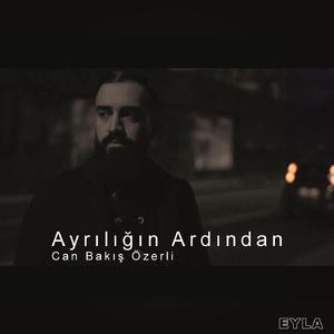 Ayrılığın Ardından