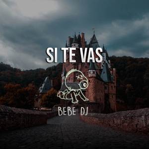 Si te vas