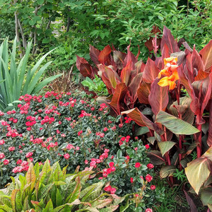 優美で上品な弦楽合奏曲