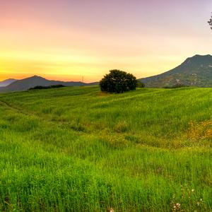 人的一生实在难