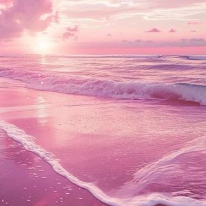 怎么会不羡慕呢