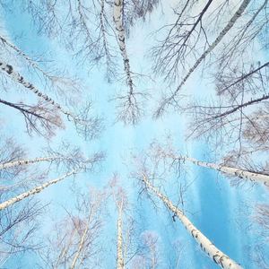 人生若只如初见