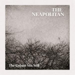 The Colour Sits Still