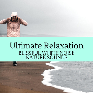 Sentimental Waves Sound