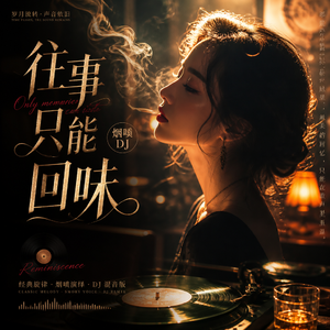往事只能回味 （烟嗓 DJ）
