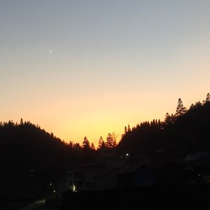 老妈，我过年不回家