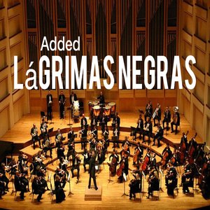 Lagrimas Negras (En Vivo)