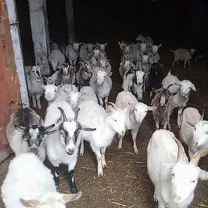 Идем на море