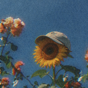 Sunflower (feat. yuenn)