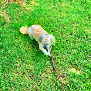 Close to Me (feat. Rumi)