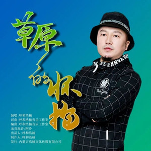 草原的怀抱 (DJ阿卓REMIX)