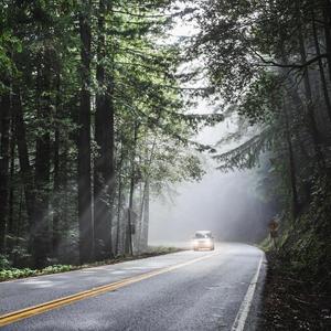 ระหว่างทาง