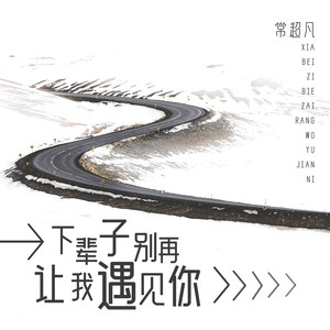 下辈子别再让我遇见你 (伴奏)