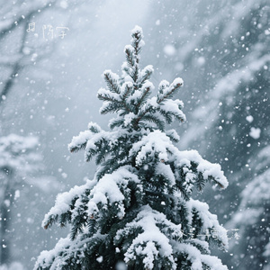 又是一年雪花落