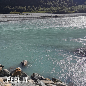Feel It