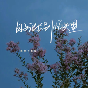 日子很长别怕失望