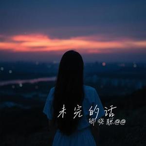 未完的话