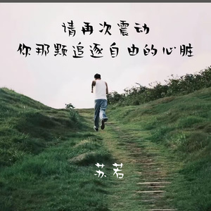 请再次震动你那颗追逐自由的心脏