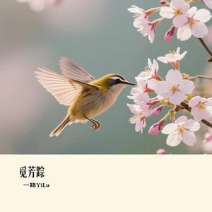 觅芳踪