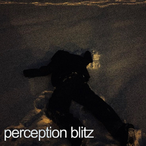 perception blitz