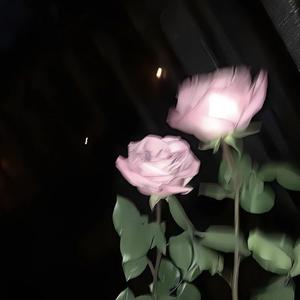 霍元甲（伴奏）