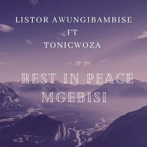 Listor awungibambise (feat. TonicWoza Rest in Peace Mgebisi)