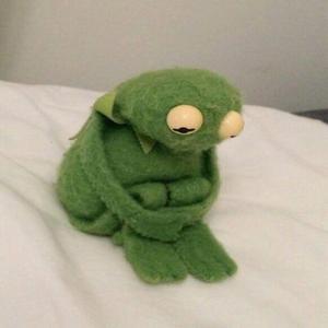 I keep forgetting im ugly lol
