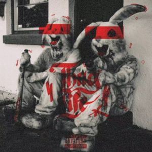 大轴儿（G-nobody remix )