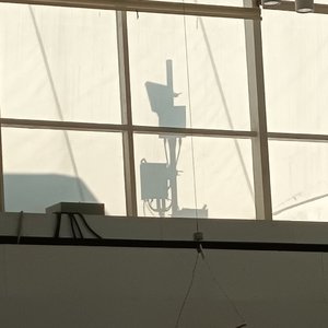 候鸟飞行手册 (4).wav