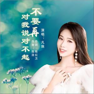 凡姝 - 不要再对我说对不起