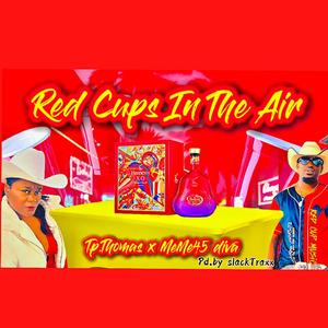 Red Cups in The Air (feat. MeMe45Diva)