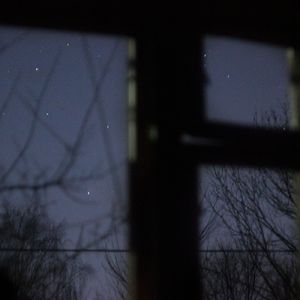 冷烟和月，疏影横窗