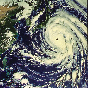 今日の午後は晴れて風が気持ちいいです