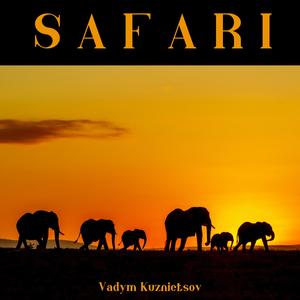 Safari