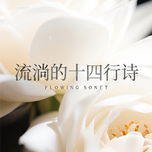 桐梓林·浮光与新生